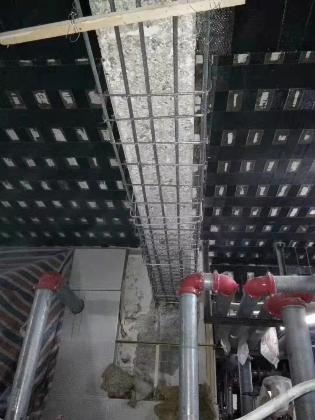 成功案例 成功案例